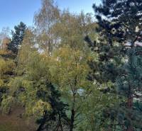 REZERVOVANÝ! Na predaj 2izbový byt v meste Senica - Zeleň na ulici Hviezdoslavova v Senici obklopuje 2-izbový byt, prírodná atmosféra.