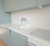 2-izbový byt s terasou 15 m² a parkovaním v tichej časti Bratislavy - Kuchyňa v 2-izbovom byte s umývadlom, indukčnou doskou a podlahou s dreveným dekorom.