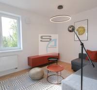 2-izbový byt s terasou 15 m² a parkovaním v tichej časti Bratislavy - Obývacia izba v 2-izbovom byte s podlahou s dreveným dekorom a pohovkou.