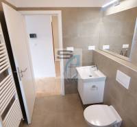 2-izbový byt s terasou 15 m² a parkovaním v tichej časti Bratislavy - Kúpeľňa v 2-izbovom byte s toaletou, umývadlom a zrkadlom.