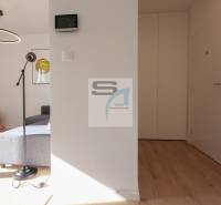 2-izbový byt s terasou 15 m² a parkovaním v tichej časti Bratislavy - Interiér 2-izbového bytu s podlahou s dreveným dekorom, kruhovým lustrom a sivou pohovkou.