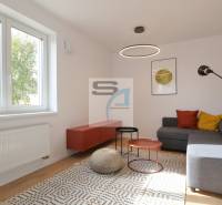 2-izbový byt s terasou 15 m² a parkovaním v tichej časti Bratislavy - Obývacia izba v 2-izbovom byte, sedenie, farebné vankúše, konferenčné stolíky, koberec.