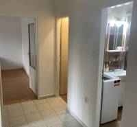 PRIESTRANNÝ 2-IZB BYT,LOGGIA, ATRAKTÍVNA LOKALITA, NOVÉ MESTO - Chodba v 2-izbovom byte s výhľadom na kúpeľňu a izbu s podlahou s dreveným dekorom.