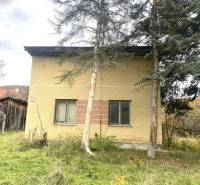 HD reality ponúka, predaj, rodinný dom Rykynčice  - Rodinný dom v Rykynčiciach, obklopený stromami so svahovým pozemkom a drevenou prístavbou.