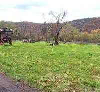 HD reality ponúka, predaj, rodinný dom Rykynčice  - Zelená plocha s dreveným vozom pri rodinnom dome v Rykynčiciach, obklopená stromami v jeseni.