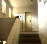 HD reality ponúka, predaj, rodinný dom Rykynčice  - Jednoduché schodisko v rodinnom dome s minimalistickým interiérom a svetlými stenami.