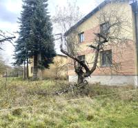 HD reality ponúka, predaj, rodinný dom Rykynčice  - Rodinný dom v Rykynčiciach, obklopený stromami a trávnatou záhradou v jesennom období.