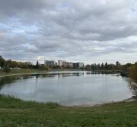 Novinka: Priestranný svetlý byt s balkónmi pri Kuchajde. Vajnorská - Jazero a zeleň v Bratislave - Novom Meste pri ulici Vajnorská s obytnými budovami.