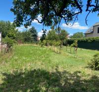 ViNi real - Prestížny pozemok pre dvojdom, Podunajské Biskupice  - Záhrada s trávnikom a viničom v Bratislave - Podunajských Biskupiciach, ideálna pre pozemky - bývanie.