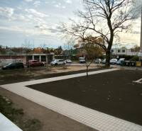 Prenajmeme 3 izb  byt na Korytnickej ulici - Exteriér na Korytnickej ulici v Bratislave-Podunajských Biskupiciach, s výhľadom na stromy a chodník.