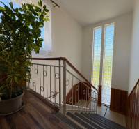 Na predaj: Rodinný dom v meste Levice - Schodisko v rodinnom dome s rastlinou a dekoratívnym zábradlím, podlaha s dreveným dekorom.