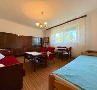 Na predaj: Rodinný dom v meste Levice - Obývačka rodinného domu s podlahou s dreveným dekorom, sedačkou a lustrom.