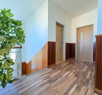 Na predaj: Rodinný dom v meste Levice - Chodba v rodinnom dome s podlahou s dreveným dekorom a rastlinou.