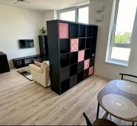 Nový 2 izbový byt SLNEČNICE, Labutia ulica, Bratislava V. Petržalka - Obývačka v 2-izbovom byte s policovou stenou a podlahou s dreveným dekorom.