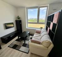 Nový 2 izbový byt SLNEČNICE, Labutia ulica, Bratislava V. Petržalka - Obývacia izba v 2-izbovom byte s pohovkou, televízorom a podlahou s dreveným dekorom.