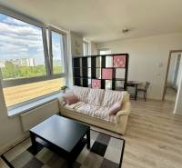 Nový 2 izbový byt SLNEČNICE, Labutia ulica, Bratislava V. Petržalka - Obývacia izba 2-izbového bytu s podlahou s dreveným dekorom, pohovkou a stolíkom.