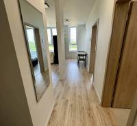 Nový 2 izbový byt SLNEČNICE, Labutia ulica, Bratislava V. Petržalka - Chodba v 2-izbovom byte s podlahou s dreveným dekorom, svetlou farbou a nástenným zrkadlom.