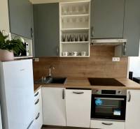 Nový 2 izbový byt SLNEČNICE, Labutia ulica, Bratislava V. Petržalka - Kuchyňa v 2-izbovom byte s bielou chladničkou a dreveným dekorom.