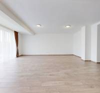 HD REALITY, Predaj 4-izbový rodinný dom v Šuranoch - Na Vršku - Rodinný dom s podlahou s dreveným dekorom a veľkými francúzskymi oknami.