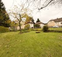 Rodinný dom s veľkým pozemkom v obci Sklené,  - Záhrada pri rodinnom dome v Sklenom na ulici Sklené s ovocnými stromami.