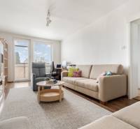 REWIN I Priestranný 3 izbový byt v tichej lokalite Senca - Obývacia izba s pohovkou, kreslom a pracovným stolom v 3-izbovom byte.