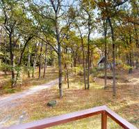 Rekreačná chata Šaštín-Stráže Gazárka komerčné využitie - Lesné prostredie pri chate na Gazárke v Šaštíne-Strážach s jesenným lístím a cestičkou.