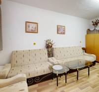 Rekreačná chata Šaštín-Stráže Gazárka komerčné využitie - Obývacia izba v Chate s gaučom, skriňou, konferenčným stolíkom a podlahou s dreveným dekorom.