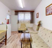 Rekreačná chata Šaštín-Stráže Gazárka komerčné využitie - Izba v chate s podlahou s dreveným dekorom, gaučom a kreslom.