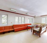 Rekreačná chata Šaštín-Stráže Gazárka komerčné využitie - Svetlá obývacia izba s pohovkami a stolíkmi, veľké okná, výhľad na les.