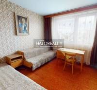 Predaj, trojizbový byt Liptovský Peter - EXKLUZÍVNE ... - Izba v 3-izbovom byte s kobercom, nábytkom a obrazom na stene.