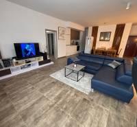 Veľký 96 m2 2 izbový byt s garážovým státím Topoľčany Centrum - Obývacia izba v 2-izbovom byte s tmavou sedačkou a televízorom, podlaha s dreveným dekorom.