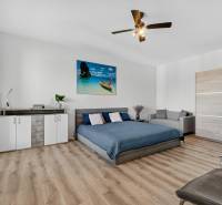 REZERVOVANÉ Predaj moderný 1-izbový byt, 45,24m2, Bratislava IV - 1-izbový byt s podlahou s dreveným dekorom, posteľou, skriňou a sedačkou.