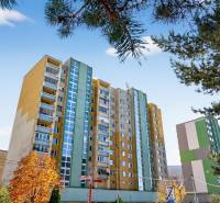 REZERVOVANÉ Predaj moderný 1-izbový byt, 45,24m2, Bratislava IV - Bytový dom na ulici Milana Marečka v Bratislave, Devínskej Novej Vsi so stromami v popredí.