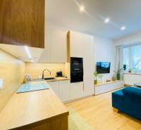 NA PRENÁJOM ŠTÝLOVÝ 2-IZBOVÝ BYT V CENTRE KOŠÍC, DREVNÝ TRH - Kuchynská linka s dreveným dekorom v 2-izbovom byte so svetlou obývacou izbou.