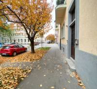 NA PRENÁJOM ŠTÝLOVÝ 2-IZBOVÝ BYT V CENTRE KOŠÍC, DREVNÝ TRH - Jesenná ulica Drevny trh v Košiciach, Staré Mesto, lemovaná stromami s padanými listami.