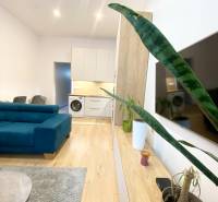 NA PRENÁJOM ŠTÝLOVÝ 2-IZBOVÝ BYT V CENTRE KOŠÍC, DREVNÝ TRH - Interiérová fotografia 2-izbového bytu s podlahou s dreveným dekorom, modrou sedačkou a rastlinami.