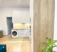 NA PRENÁJOM ŠTÝLOVÝ 2-IZBOVÝ BYT V CENTRE KOŠÍC, DREVNÝ TRH - Moderná kuchyňa v 2-izbovom byte s podlahou s dreveným dekorom a rastlinou.