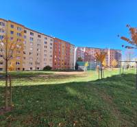 REZERVOVANÝ 2,5 IZBOVÝ BYT, 65 M2,PREŠOV,UL. FEDERÁTOV - Sídliskové budovy na ulici Federátov v Prešove s detským ihriskom a stromami.