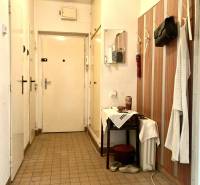 3-izbový byt s loggiou v širšom centre, Komárno - Vstupná chodba v 3-izbovom byte so stenovým vešiakom a zrkadlom.