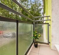 BA/RUŽINOV-Prenájom 1i bytu s balkónom a pivnicou v skvelej lokalite - Balkón 1-izbového bytu na Exnárovej ulici v Bratislave - Ružinove s rastlinou.