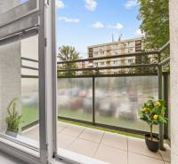 BA/RUŽINOV-Prenájom 1i bytu s balkónom a pivnicou v skvelej lokalite - Balkón 1-izbového bytu s výhľadom na panelové domy, ozdobný citrónovník.