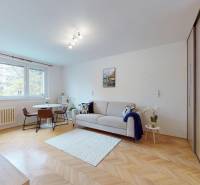 BA/RUŽINOV-Prenájom 1i bytu s balkónom a pivnicou v skvelej lokalite - Obývacia izba v 1-izbovom byte s podlahou s dreveným dekorom, pohovkou a jedálenským stolom.