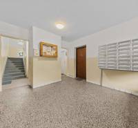 BA/RUŽINOV-Prenájom 1i bytu s balkónom a pivnicou v skvelej lokalite - Vchod a schodisko bytovky s poštovými schránkami a oznamovou tabuľou na Exnárovej ulici.