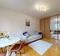 BA/RUŽINOV-Prenájom 1i bytu s balkónom a pivnicou v skvelej lokalite - Obývacia izba s gaučom, jedálenským stolom a zrkadlovou skriňou, 1-izbový byt.