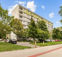 BA/RUŽINOV-Prenájom 1i bytu s balkónom a pivnicou v skvelej lokalite - Panelák obklopený stromami na Exnárovej ulici, Bratislava - Ružinov, v pozadí autá.