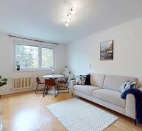 BA/RUŽINOV-Prenájom 1i bytu s balkónom a pivnicou v skvelej lokalite - Obývacia izba 1-izbového bytu s podlahou s dreveným dekorom, svetlým gaučom a okrúhlym stolom.