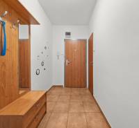 BA/RUŽINOV-Prenájom 1i bytu s balkónom a pivnicou v skvelej lokalite - Interiér 1-izbového bytu s chodbou, dreveným nábytkom a keramickou podlahou.