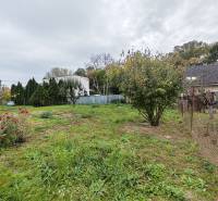 Predaj rodinného domu, Topoľová, Topoľová, Galanta - Rodinný dom v Seredi na Topoľovej ulici s rozkvitnutými ružami a stromami v záhrade.