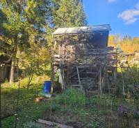 Oddych v srdci prírody - záhrada s chatkou v kúpeľnom meste - Chata v Sadoch pod Dedovcom v Trenčianskych Tepliciach obklopená zeleňou a stromami.