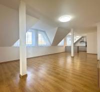 RADO| Podnikajte a zároveň bývajte pod jednou strechou! - Podkrovný priestor s podlahou s dreveným dekorom a kuchyňou, Rodinný dom.